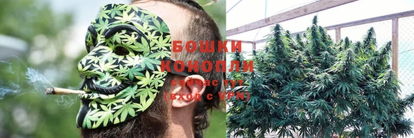 ПСИЛОЦИБИНОВЫЕ ГРИБЫ Покачи