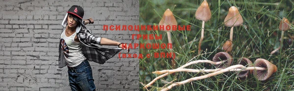 тгк Абдулино