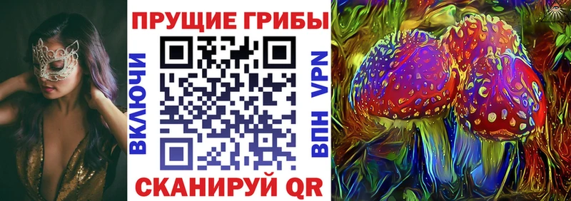 Псилоцибиновые грибы Psilocybe  Отрадное 
