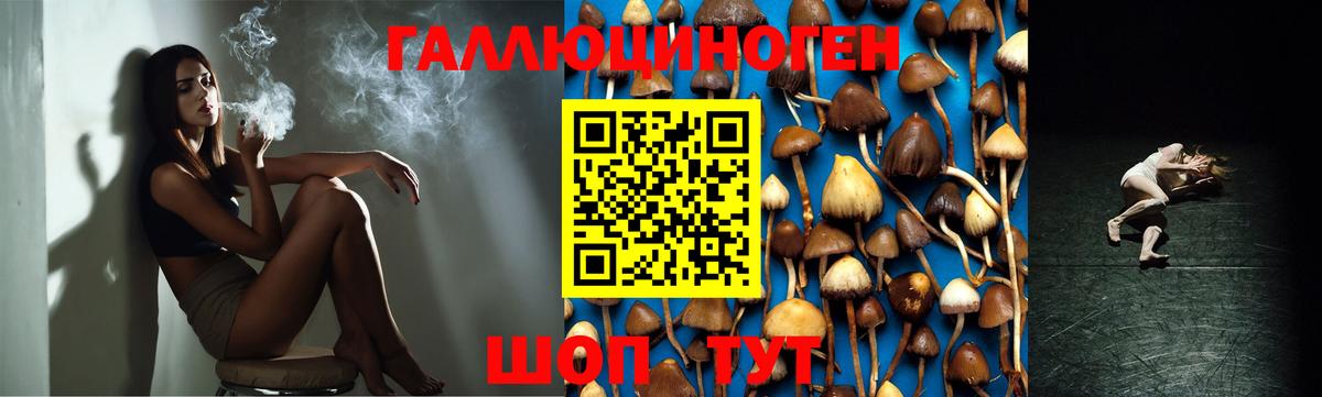 Галлюциногенные грибы ЛСД  Вход с VPN  Галлюциногенные грибы мицелий  Отрадное 